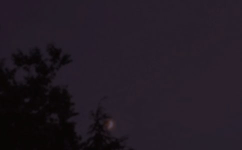 經(jīng)典美好的晚安心語(yǔ)短信30句