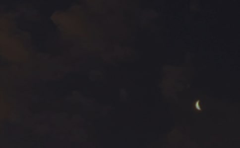 2024�꽛��ÿ��һ���������Z�����\��43�l