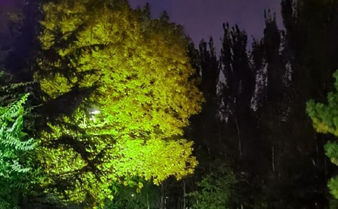 2023�곣�Ã�(y��u)�����������Z����49�l