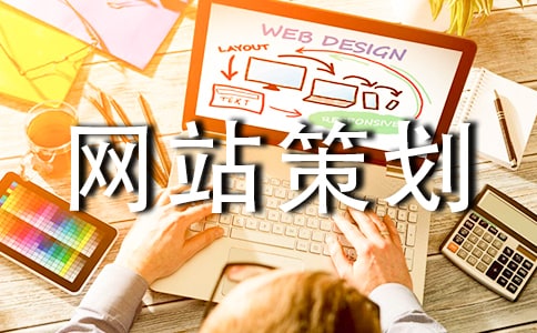 (精)網站策劃4篇