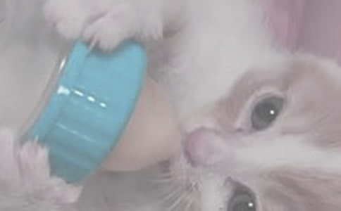 喂奶粉犯錯最多的三點