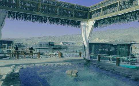 �ݜ�Ȫ����[����15ƪ]