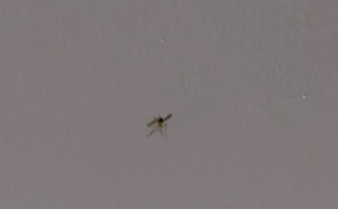 ���ӵĽ��h��