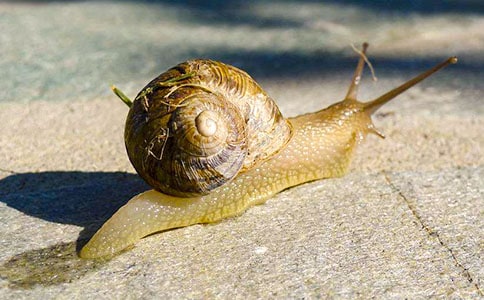 �ҵ�С΁ţ15ƪ[��Ʒ]