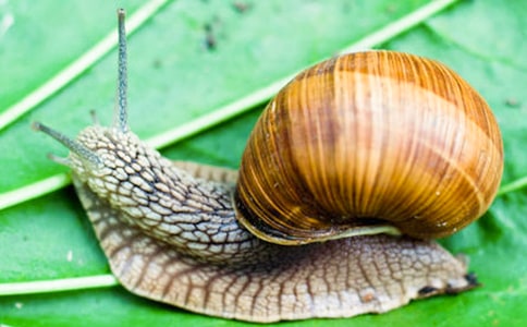 ��΁ţ�Ī������u�n