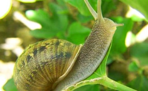 һֻ�Ѵ������΁ţ