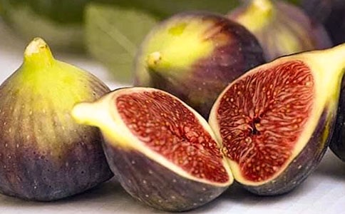 ����ğo��������2ƪ[���]]