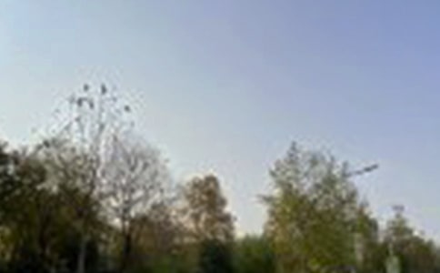 2024��Ψ�����簲�����Z���ŅR��82��