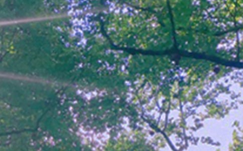 �簲��(w��n)���Z(y��)����41��