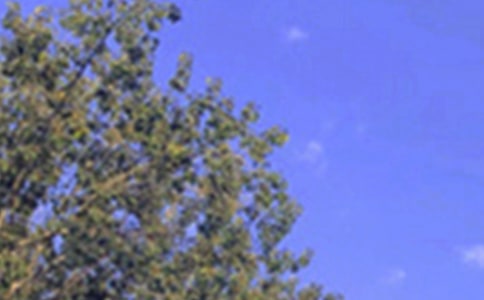 ��־�簲����80�侫�x