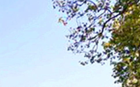 ��ܰ���簲���Z����38��