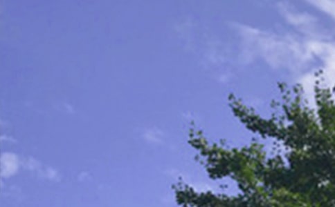 勵志午安短信(精選30句)