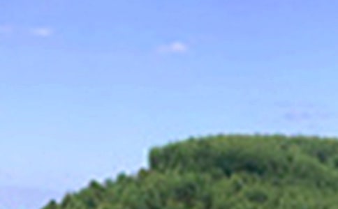 2024���ů���簲���Z����ժ�37��