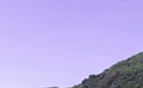 治愈系午安問候語短信30條