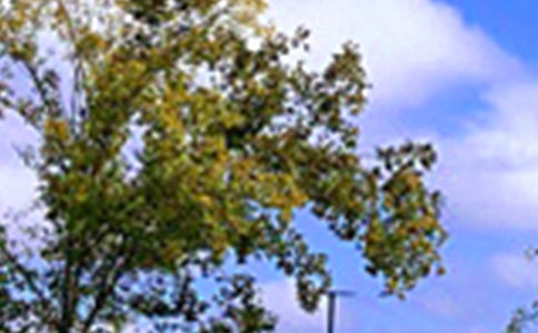 ��ů���簲�����Z���Ŵ�ϼ�62��