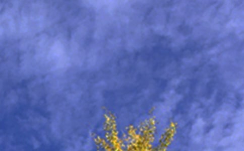 ���õ��簲���Z����78��