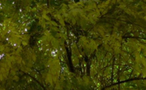 治愈系午安心語短信錦集44條