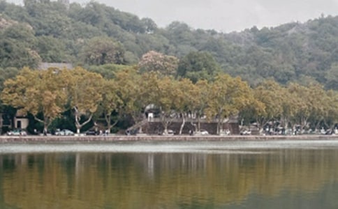 �������g����