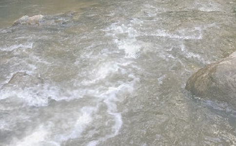 СϪ������������