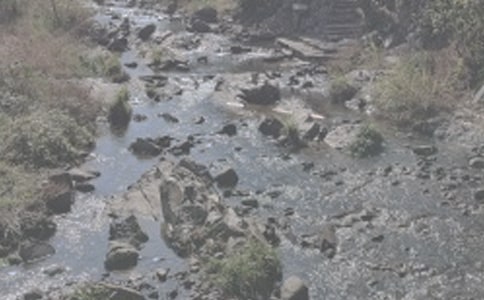 �� (t��ng)����СϪ���ĸ�-�x��СϪ���ĸ衷�������