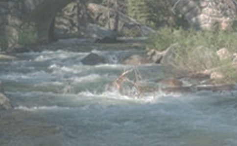 小溪流的歌初中優秀作文