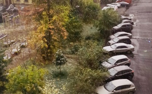 【精品】下雪了15篇