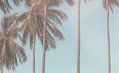 �ļ��ʳ��Ҫע������