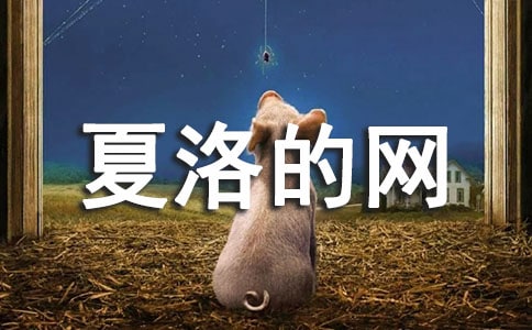 夏洛的網讀后感(匯編15篇)