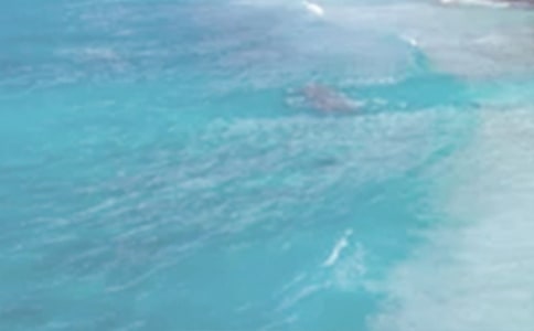 Ψ�����ն̾�