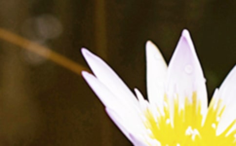 ����δ�������Z��p��