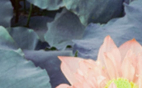 ��ʮ�Ĺ���������Ԋ��