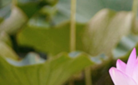 關(guān)于夏至的說法以及風(fēng)俗活動