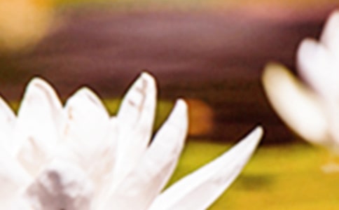 2023�����ǎ���̖