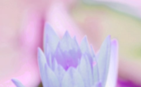 �P(gu��n)��������(ji��)���Ԋ�~