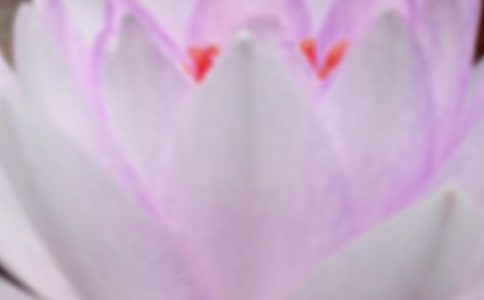 ����ף������160��