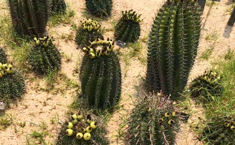 [���]]����������