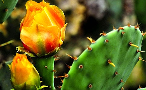 �����ƾ�Ʒ(15ƪ)