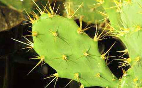 (��Ʒ)����������