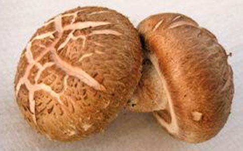 �㹽�r������ô���������䌍�ܺ���