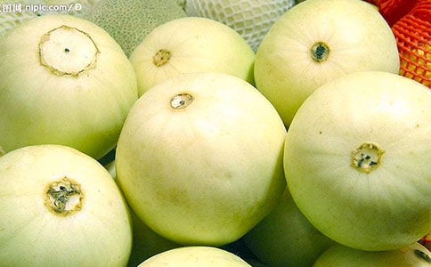 日光溫室冬春茬洋香瓜栽培技術