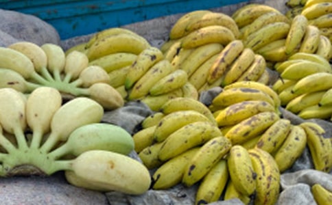 �����㽶��Ĥ