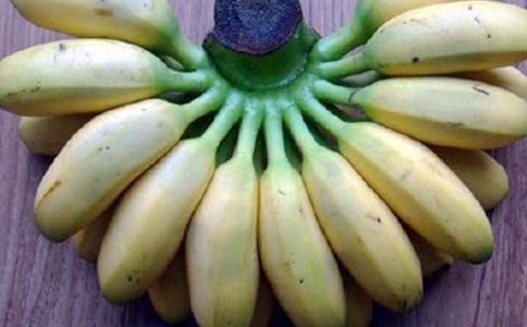 一塊香蕉皮作文