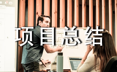 項目總結最新