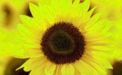 (��)���տ�����