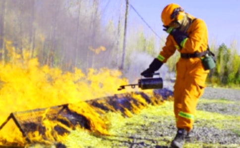 119���������ĺ���(��(j��ng)��15ƪ)