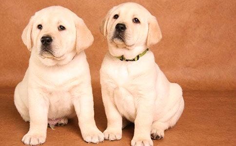 ����С�����D��Ԓ(�؂�15ƪ)