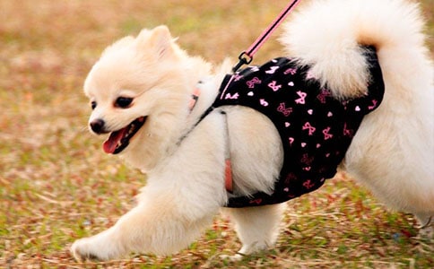 ���᡿��С���X�X���x���