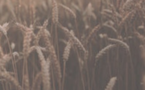 С���ăɰ��涼��͵�ˣ����ֳ��Z��