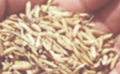 ���S1̖С��Ʒ�N�����Լ��߮a���༼�g