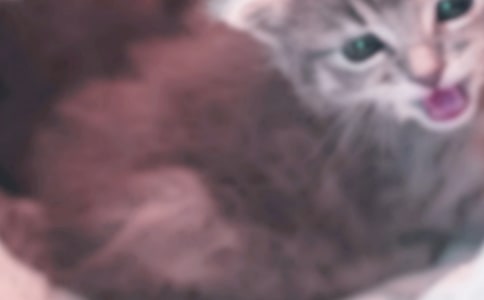 ���]���ɐ۵�С؈����15ƪ